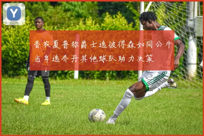 香农夏普称爵士选彼得森如同公牛当年选乔丹其他球队助力决策